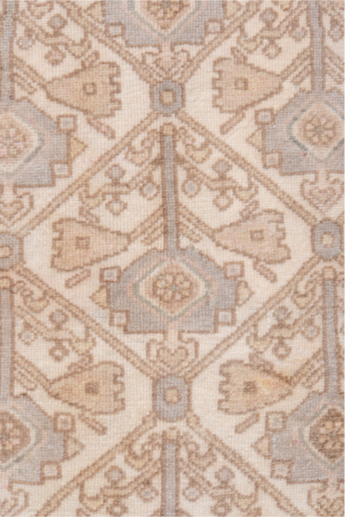 Antique Malayer Runner Rug (3' x 6')